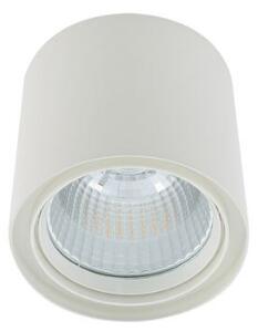 Italux 5900644409342 LED bodové stropné svietidlo Luna White | 40W integrovaný LED zdroj | 3800lm | 3000K