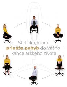 NESEDA Standard pracovná stolička Antracit