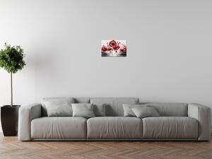 Gario Obraz na plátne Červené Vlčie maky Veľkosť: 50 x 40 cm
