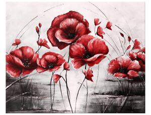 Gario Obraz na plátne Červené Vlčie maky Veľkosť: 70 x 50 cm