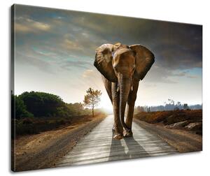 Gario Obraz na plátne Osamelý silný slon Veľkosť: 90 x 60 cm