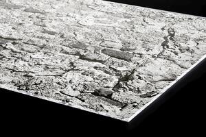 DIMEX | Plexisklo za kuchynskú linku PGT-06040-266 | 60 x 40 cm Textúra múru