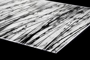 DIMEX | Plexisklo za kuchynskú linku PGT-06040-137 | 60 x 40 cm Čiernobiela tráva
