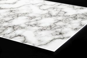 DIMEX | Plexisklo za kuchynskú linku PGT-06040-278 | 60 x 40 cm Biely mramorový vzor