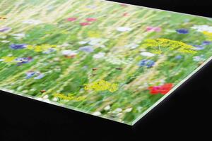DIMEX | Plexisklo za kuchynskú linku PGT-06040-172 | 60 x 40 cm Kvetinová lúka
