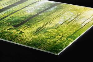 DIMEX | Plexisklo za kuchynskú linku PGT-06040-133 | 60 x 40 cm Svieži les