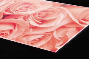 DIMEX | Plexisklo za kuchynskú linku PGT-06040-052 | 60 x 40 cm Ruže