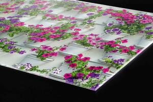 DIMEX | Plexisklo za kuchynskú linku PGT-06040-176 | 60 x 40 cm Kvety v kvetináčoch