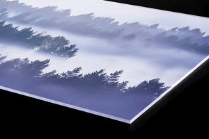 DIMEX | Plexisklo za kuchynskú linku PGT-06040-195 | 60 x 40 cm Hmla medzi stromami