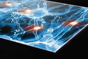 DIMEX | Plexisklo za kuchynskú linku PGT-06040-238 | 60 x 40 cm Nervové synapsie