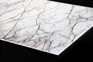 DIMEX | Plexisklo za kuchynskú linku PGT-06040-273 | 60 x 40 cm Textúra bieleho mramoru