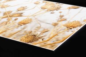 DIMEX | Plexisklo za kuchynskú linku PGT-06040-180 | 60 x 40 cm Suché bodľačie