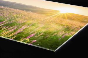DIMEX | Plexisklo za kuchynskú linku PGT-06040-145 | 60 x 40 cm Západ slnka na lúku