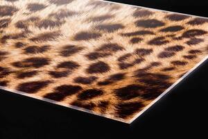 DIMEX | Plexisklo za kuchynskú linku PGT-06040-069 | 60 x 40 cm Leopardia koža