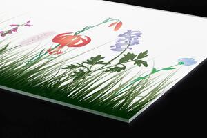DIMEX | Plexisklo za kuchynskú linku PGT-06060-182 | 60 x 60 cm Lúčny dizajn