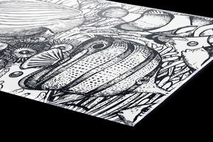 DIMEX | Plexisklo za kuchynskú linku PGT-06040-183 | 60 x 40 cm Čiernobiele ryby