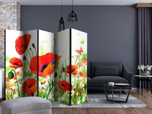 Artgeist Paraván - Country poppies [Room Dividers]