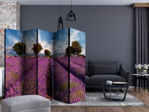 Artgeist Paraván - Lavender field in Provence, France [Room Dividers]