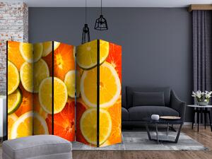 Artgeist Paraván - Citrus fruits [Room Dividers]