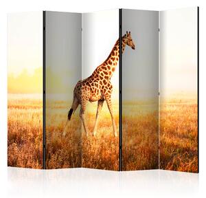 Artgeist Paraván - giraffe - walk [Room Dividers]