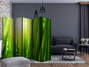Artgeist Paraván - Sun and bamboo [Room Dividers]