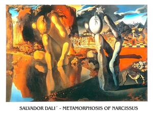 Umelecká tlač Metamorphosis of Narcissus, 1937, Salvador Dalí