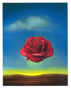 Umelecká tlač Meditative Rose, 1958, Salvador Dalí