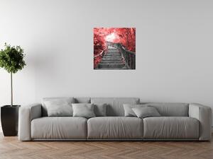 Obraz na plátne Schody v červenom lese Rozmery: 40 x 60 cm