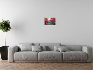 Obraz na plátne Schody v červenom lese Rozmery: 100 x 70 cm