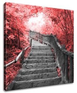 Obraz na plátne Schody v červenom lese Rozmery: 100 x 70 cm