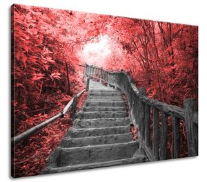 Obraz na plátne Schody v červenom lese Veľkosť: 100 x 70 cm