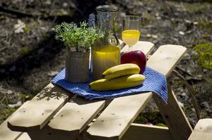 DIP-MAR Detský záhradný drevený piknik stolík 89,5 x 51 x 81,5 cm prírodný