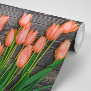 Fototapeta oranžové tulipány na drevenom podklade
