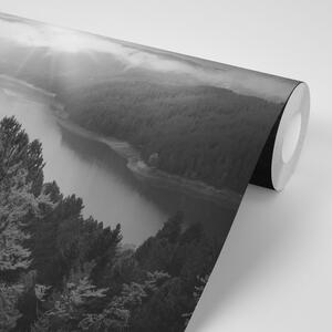 Fototapeta rieka uprostred lesa v čiernobielom prevedení