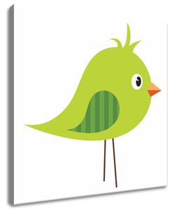 Obraz na plátne Zelený strapatý vtáčik Rozmery: 30 x 30 cm