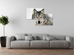 Gario 3 dielny obraz na plátne Šedivý vlk Veľkosť: 90 x 60 cm