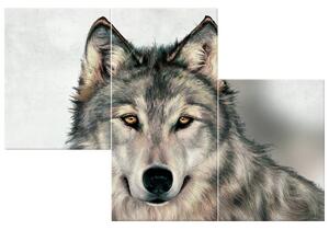 Gario 3 dielny obraz na plátne Šedivý vlk Veľkosť: 90 x 60 cm