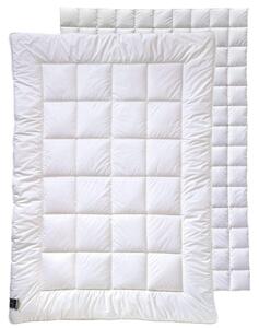PRIKRÝVKA NA 4 ROČ. OBDOBIA, 135/200 cm, duté vlákno Billerbeck - Prikrývky & vankúše, Online Only