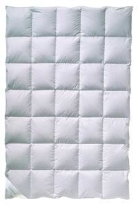 PÁPEROVÁ PRIKRÝVKA, 155/220 cm, perie, páperie Billerbeck - Prikrývky & vankúše, Online Only