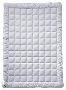 LETNÁ PRIKRÝVKA, 135/200 cm, hodváb Billerbeck - Prikrývky & vankúše, Online Only