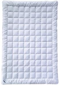 LETNÁ PRIKRÝVKA, 135/200 cm, bambus, duté vlákno Billerbeck - Prikrývky & vankúše, Online Only