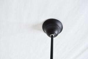 Aldex AFTER | stropná industriálna lampa Farba: Čierna