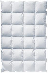 PÁPEROVÁ PRIKRÝVKA, 135/200 cm, perie, páperie Billerbeck - Prikrývky & vankúše, Online Only