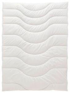 ZIMNÁ PRIKRÝVKA, 135/200 cm, polyester, lyocell, kapok Sleeptex - Prikrývky & vankúše, Online Only