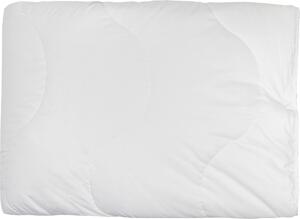 PRIKRÝVKA NA 4 ROČ. OBDOBIA, 135/200 cm, duté vlákno - Prikrývky & vankúše, Online Only