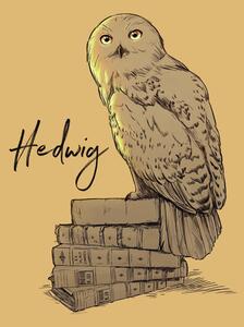 Umelecká tlač Harry Potter - Hedwig, (26.7 x 40 cm)
