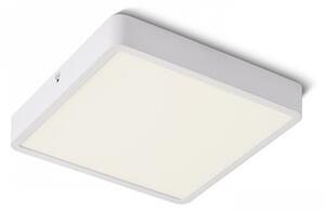 Rendl HUE SQ 22 DIMM | stmievateľné led svietidlo štvorcové stropné Farba: Biela