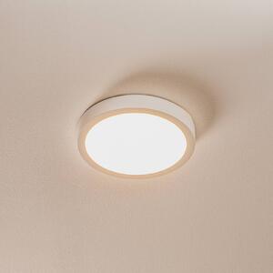 Stropné LED svietidlo Vika, okrúhle, biele, Ø 18cm