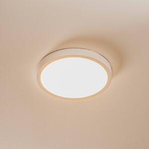 Stropné LED svietidlo Vika, okrúhle, biele, Ø 23cm
