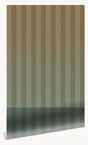 Vliesová tapeta Frans Uyterlinde - Gradient Stripes
